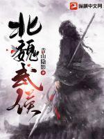 魏武侯叫什么