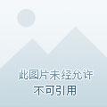 表白你不接受