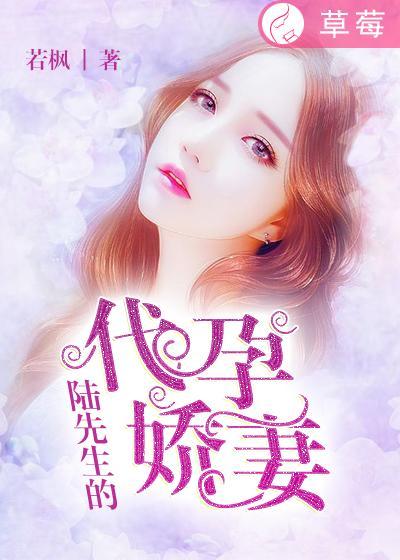 陆先生的挚爱免费阅读