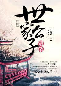 红楼世家公子贾琏