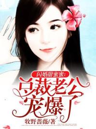 闪婚甜妻总裁老公宠上天