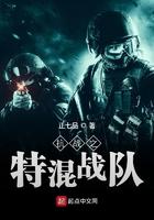 抗战之特混战队txt