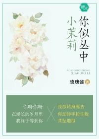 异术强婿